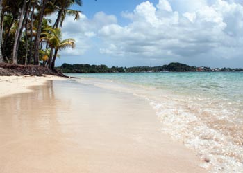 Famille d'accueil    à Ducos 97224 dans la Martinique