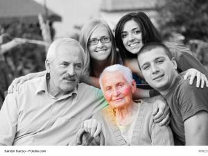  alt="Maladie d'Alzheimer : une formation pour les aidants familiaux"