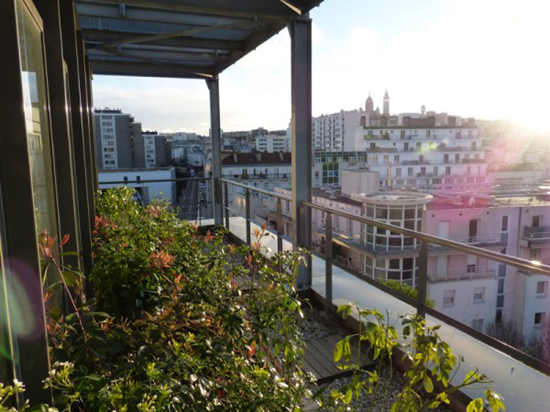 Terrasse végétalisée