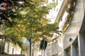 EHPAD Korian Monceau